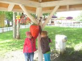 Farma iluzji - 25
